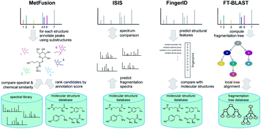 Graphical abstract: New kids on the block: novel informatics methods for natural product discovery