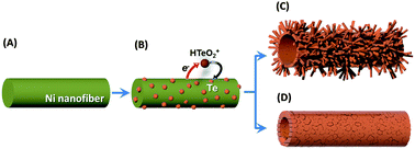 Graphical abstract: Branched tellurium hollow nanofibers by galvanic displacement reaction and their sensing performance toward nitrogen dioxide