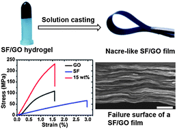 Graphical abstract: Strong composite films with layered structures prepared by casting silk fibroin–graphene oxide hydrogels
