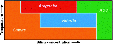 Graphical abstract: The effect of silica on polymorphic precipitation of calcium carbonate: an on-line energy-dispersive X-ray diffraction (EDXRD) study