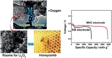 Graphical abstract: A hierarchical porous electrode using a micron-sized honeycomb-like carbon material for high capacity lithium–oxygen batteries