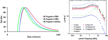 Graphical abstract: Protein corona affects the relaxivity and MRI contrast efficiency of magnetic nanoparticles