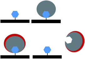 Graphical abstract: Surface-modified multifunctional MIP nanoparticles