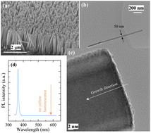Graphical abstract: Growth of large-scale vertically aligned GaN nanowires and their heterostructures with high uniformity on SiOx by catalyst-free molecular beam epitaxy