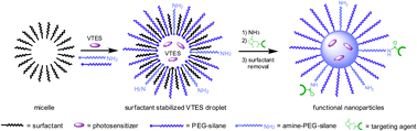 Graphical abstract: Targeted delivery of photosensitizers: efficacy and selectivity issues revealed by multifunctional ORMOSIL nanovectors in cellular systems