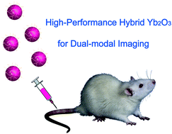 Graphical abstract: PEGylated hybrid ytterbia nanoparticles as high-performance diagnostic probes for in vivo magnetic resonance and X-ray computed tomography imaging with low systemic toxicity