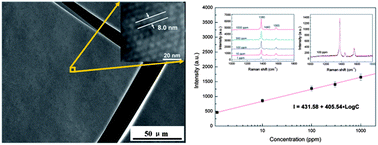 Graphical abstract: Large-scale gold nanoparticle superlattice and its SERS properties for the quantitative detection of toxic carbaryl