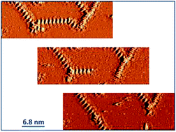 Graphical abstract: Initial stages of benzotriazole adsorption on the Cu(111) surface