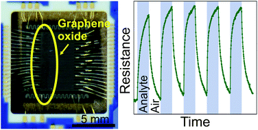 Graphical abstract: Highly selective gas sensor arrays based on thermally reduced graphene oxide