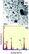 Graphical abstract: Semiconducting quantum confined silicon–tin alloyed nanocrystals prepared by ns pulsed laser ablation in water