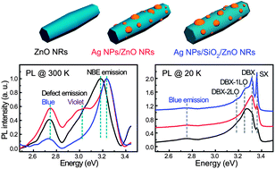 Graphical abstract: Effect of the surface-plasmon–exciton coupling and charge transfer process on the photoluminescence of metal–semiconductor nanostructures