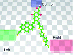 Graphical abstract: Unimolecular amplifier: principles of a three-terminal device with power gain