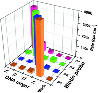 Graphical abstract: Ultrasensitive single-nucleotide polymorphism detection using target-recycled ligation, strand displacement and enzymatic amplification