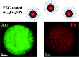 Graphical abstract: Coexistence of plasmonic and magnetic properties in Au89Fe11 nanoalloys