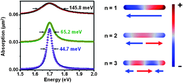 Graphical abstract: Reduced linewidth multipolar plasmon resonances in metal nanorods and related applications