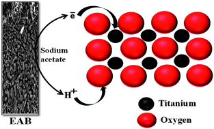 Graphical abstract: Band gap narrowing of titanium dioxide (TiO2) nanocrystals by electrochemically active biofilms and their visible light activity