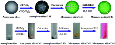 Graphical abstract: Mesoporous silica nanospheres decorated with CdS nanocrystals for enhanced photocatalytic and excellent antibacterial activities