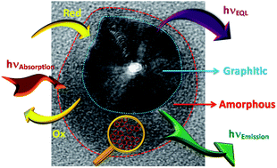 Graphical abstract: The optoelectronic behaviour of carbon nanoparticles: evidence of the importance of the outer carbon shell