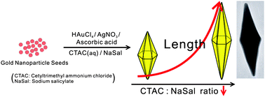 Graphical abstract: Size-controlled synthesis of gold bipyramids using an aqueous mixture of CTAC and salicylate anions as the soft template