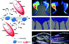 Graphical abstract: VEGF-loaded graphene oxide as theranostics for multi-modality imaging-monitored targeting therapeutic angiogenesis of ischemic muscle