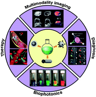 Graphical abstract: Multifunctional superparamagnetic iron oxide nanoparticles: design, synthesis and biomedical photonic applications