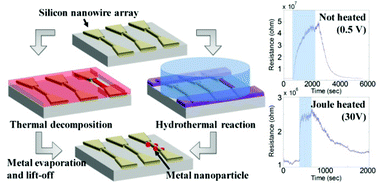 Graphical abstract: A self-heated silicon nanowire array: selective surface modification with catalytic nanoparticles by nanoscale Joule heating and its gas sensing applications