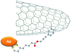 Graphical abstract: Benzyne cycloaddition onto carbon nanohorns