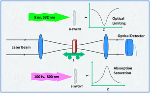 Graphical abstract: Nonlinear optical properties of boron doped single-walled carbon nanotubes