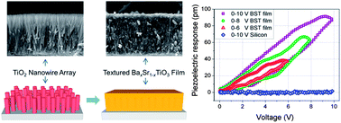 Graphical abstract: Hydrothermal growth of textured BaxSr1−xTiO3 films composed of nanowires