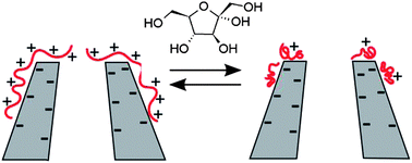 Graphical abstract: Carbohydrate-actuated nanofluidic diode: switchable current rectification in a nanopipette