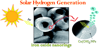 Graphical abstract: Photocatalytic hydrogen production of Co(OH)2 nanoparticle-coated α-Fe2O3 nanorings