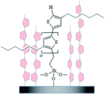 Graphical abstract: Assembly and organization of poly(3-hexylthiophene) brushes and their potential use as novel anode buffer layers for organic photovoltaics