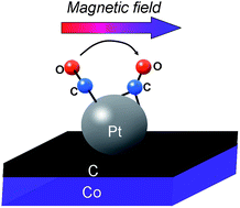 Graphical abstract: Magnetic manipulation of molecules on a non-magnetic catalytic surface