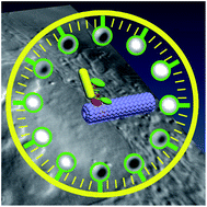 Graphical abstract: Single Particle Orientation and Rotational Tracking (SPORT) in biophysical studies