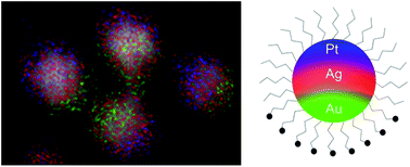 Graphical abstract: Trimetallic Ag@AuPt Neapolitan nanoparticles