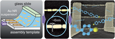 Graphical abstract: Deterministic assembly of linear gold nanorod chains as a platform for nanoscale applications