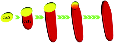 Graphical abstract: Solution-based synthesis of wurtzite Cu2ZnSnS4 nanoleaves introduced by α-Cu2S nanocrystals as a catalyst