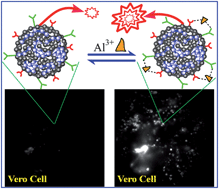 Graphical abstract: Al3+-induced far-red fluorescence enhancement of conjugated polymer nanoparticles and its application in live cell imaging