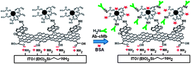 Graphical abstract: Microstructural and electrochemical impedance characterization of bio-functionalized ultrafine ZnS nanocrystals–reduced graphene oxide hybrid for immunosensor applications