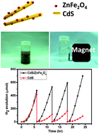 Graphical abstract: ZnFe2O4 decorated CdS nanorods as a highly efficient, visible light responsive, photochemically stable, magnetically recyclable photocatalyst for hydrogen generation