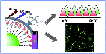 Graphical abstract: Amphiphilic silane modified NaYF4:Yb,Er loaded with Eu(TTA)3(TPPO)2 nanoparticles and their multi-functions: dual mode temperature sensing and cell imaging