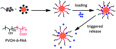 Graphical abstract: Poly(acrylic acid)-block-poly(vinyl alcohol) anchored maghemite nanoparticles designed for multi-stimuli triggered drug release