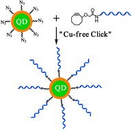 Graphical abstract: Robust and specific ratiometric biosensing using a copper-free clicked quantum dot–DNA aptamer sensor