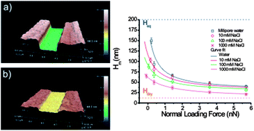 Graphical abstract: A novel approach for measuring the intrinsic nanoscale thickness of polymer brushes by means of atomic force microscopy: application of a compressible fluid model