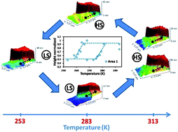 Graphical abstract: Atomic force microscopy and near-field optical imaging of a spin transition