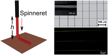 Graphical abstract: Near-field electrospinning of light-emitting conjugated polymer nanofibers