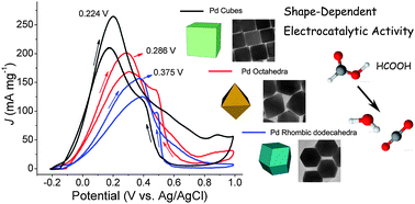 Graphical abstract: Shape-dependent electrocatalytic activity of monodispersed palladium nanocrystals toward formic acid oxidation
