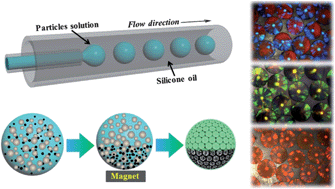 Graphical abstract: Microfluidic generation of magnetoresponsive Janus photonic crystal particles
