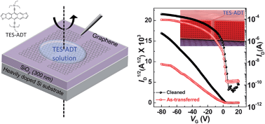 Graphical abstract: Self-organizing properties of triethylsilylethynyl-anthradithiophene on monolayer graphene electrodes in solution-processed transistors