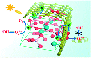 Graphical abstract: Role of graphene on the surface chemical reactions of BiPO4–rGO with low OH-related defects